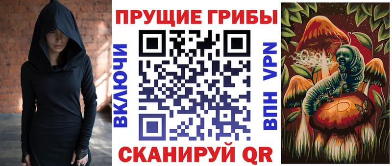 Галлюциногенные грибы Psilocybe  Тольятти 